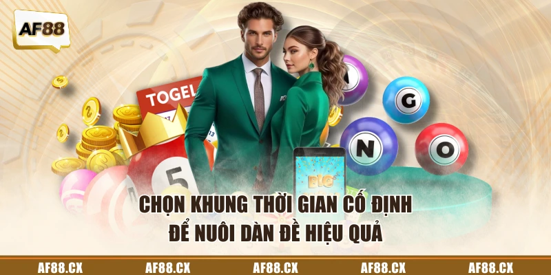 Mẹo nuôi dàn đề đơn giản khi cân nhắc chọn thời gian cố định