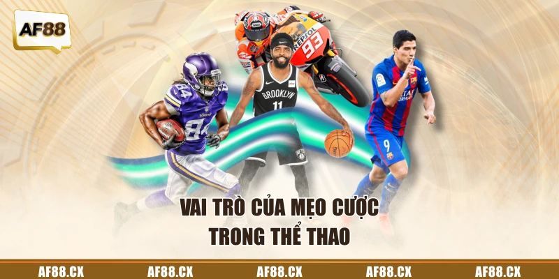 Vai trò của mẹo cược trong thể thao